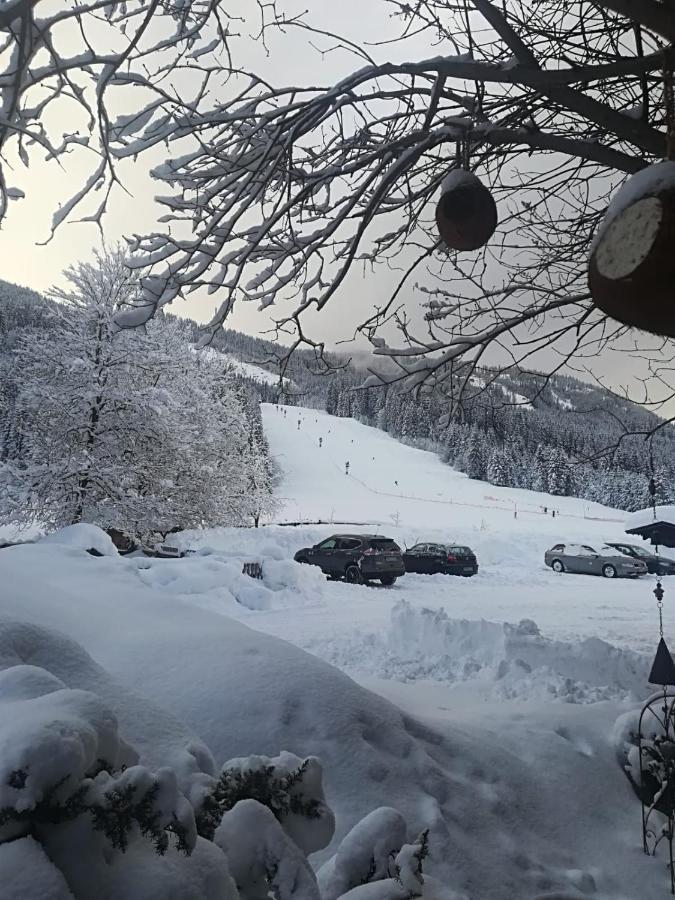 Walchauhof Bauernhof Flachau